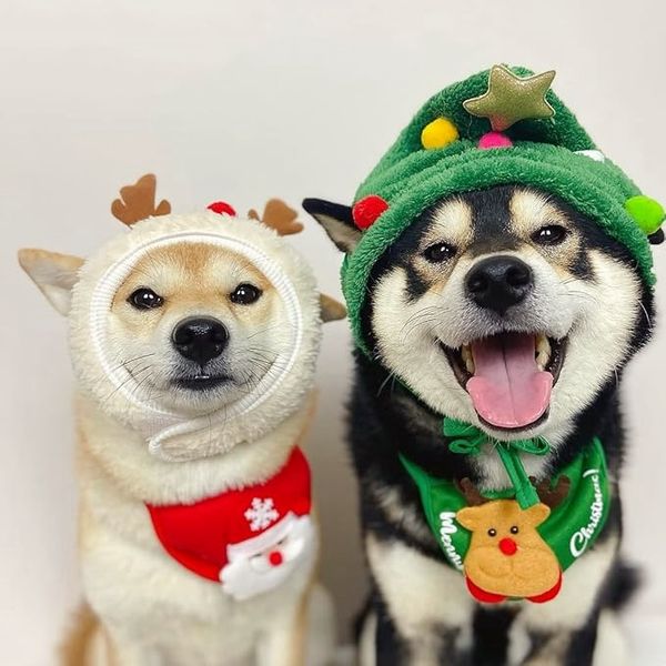 🎄🎅Adorable Christmas Tree Pom-Pom Hat