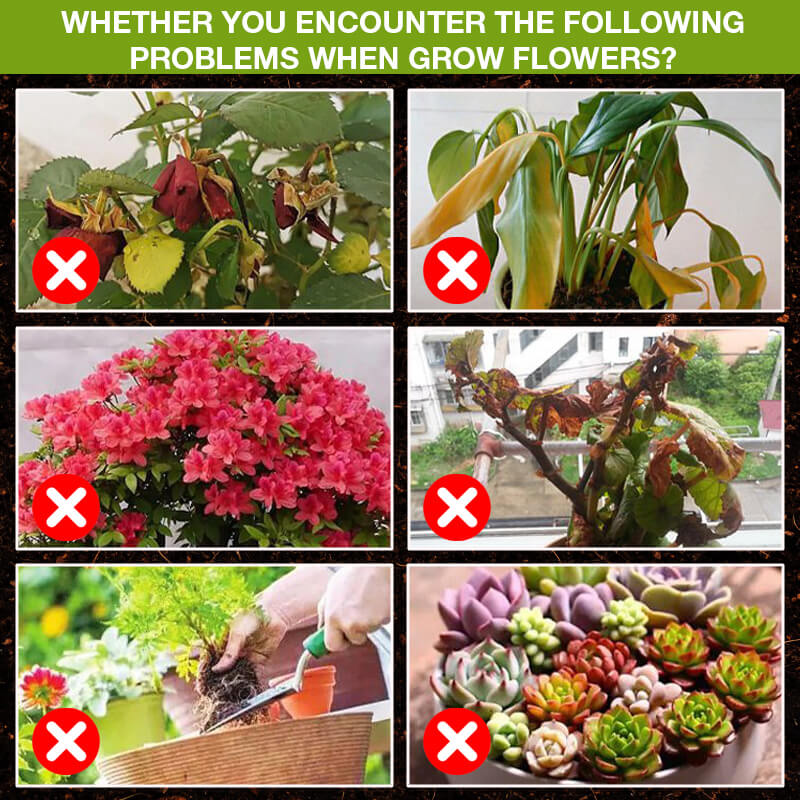 🔥Ótimo para vender! Compre 1 e leve 2 grátis🔥Suplemento para melhorar o crescimento das plantas🍃