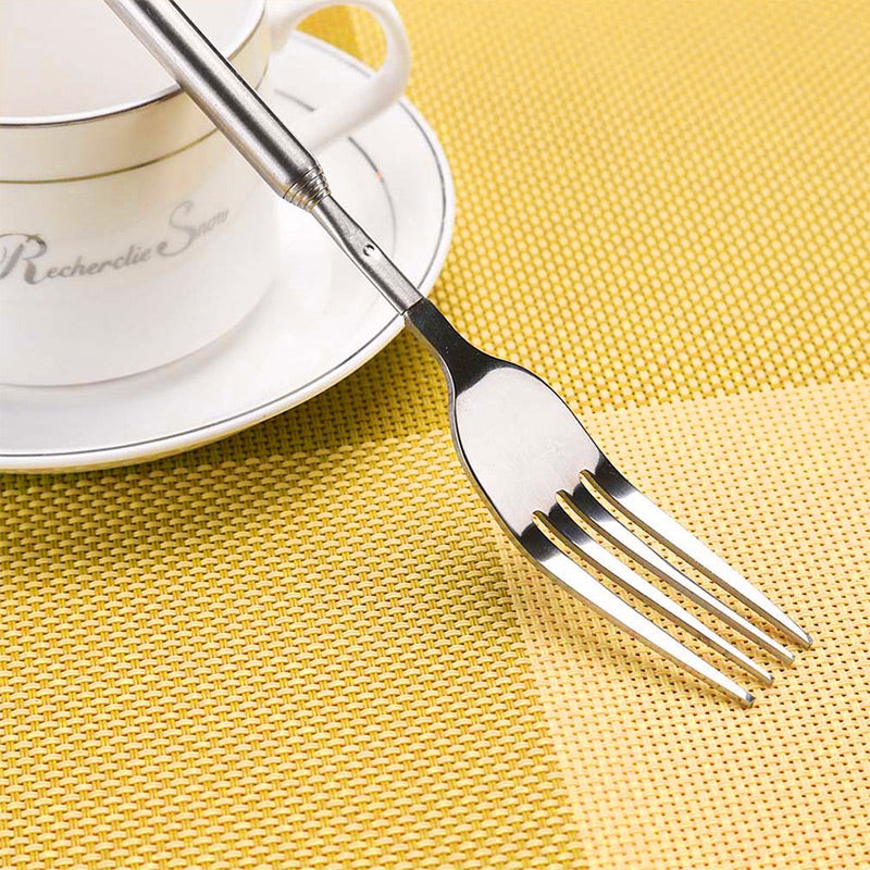 Stainless Steel Extendable Fork