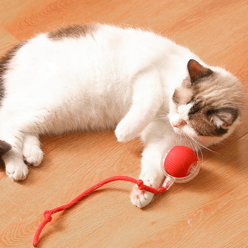 Smart Automatic Rolling Pet Ball