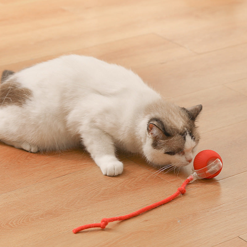 Smart Automatic Rolling Pet Ball