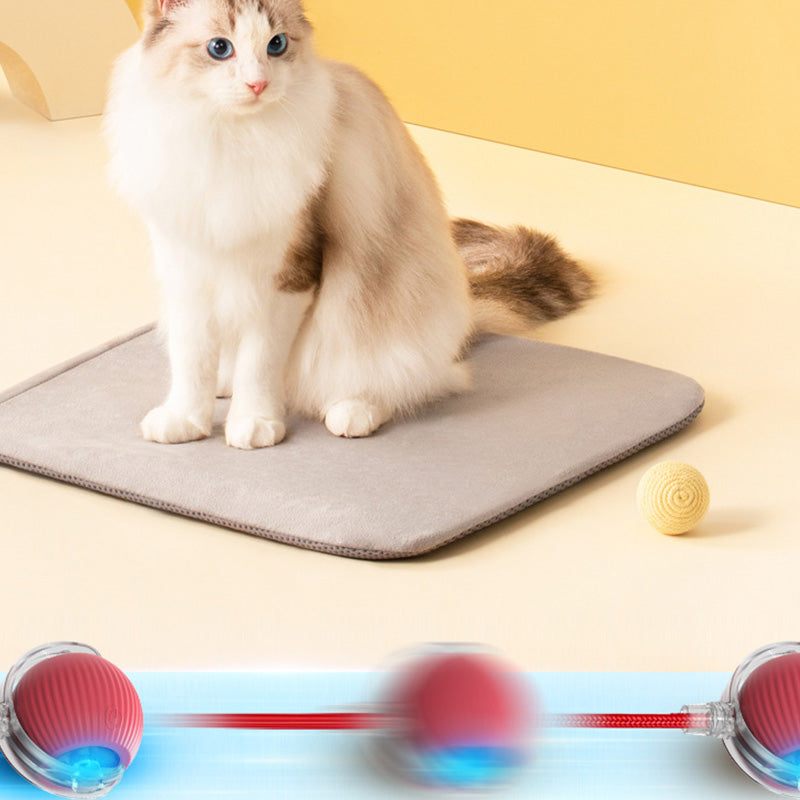 Smart Automatic Rolling Pet Ball