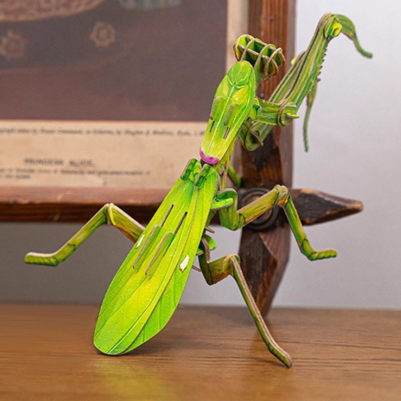 3D Paper Insect Puzzle for Kids