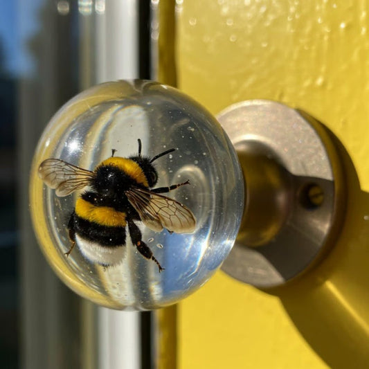 Unique Decorative Door Knob
